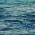 water, waves, ocean, nature, sea, beach, baltic sea, lake, wind, wave
