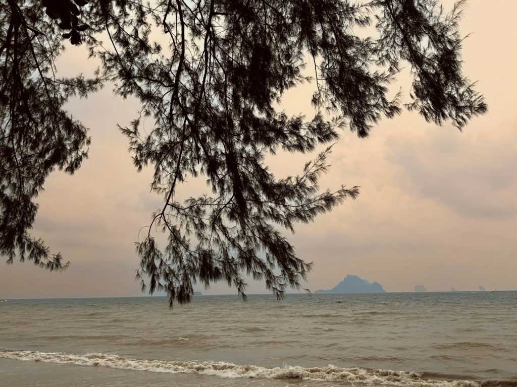 A view of a body of water from a beach