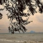A view of a body of water from a beach